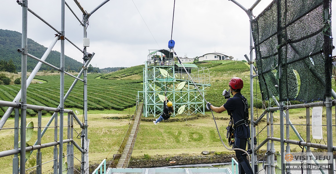 테마_제주액티비티 제주라프짚라인 3
