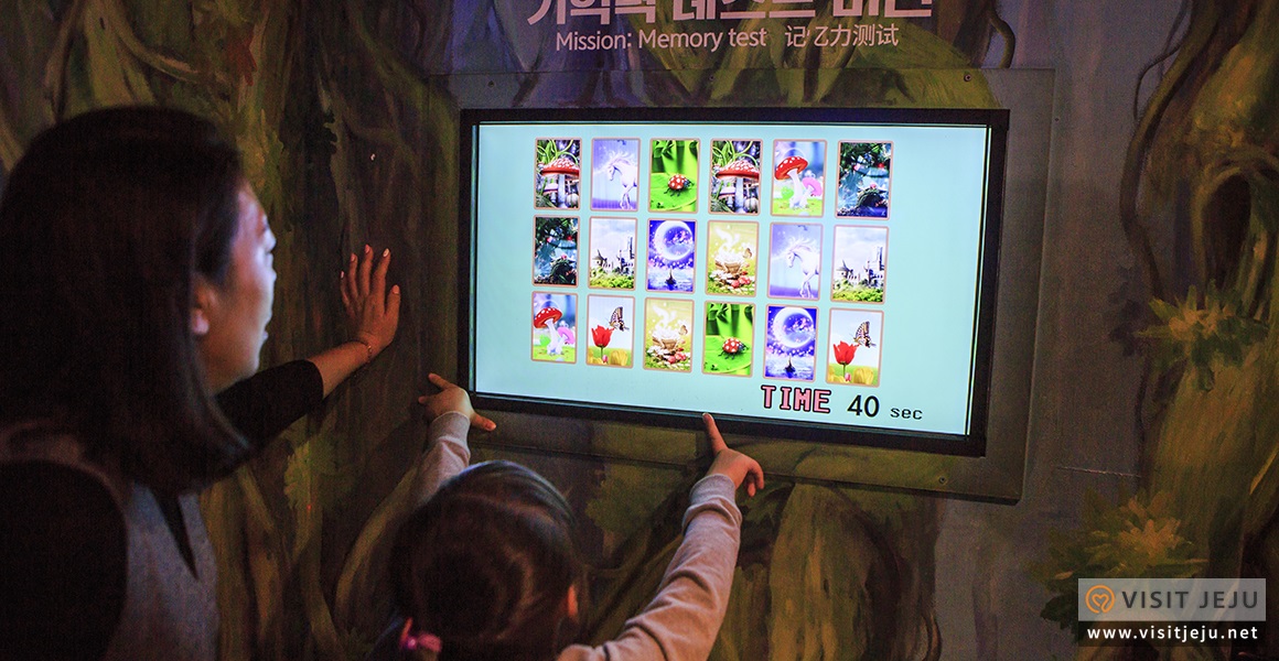 테마_제주액티비티 다이나믹메이즈 6