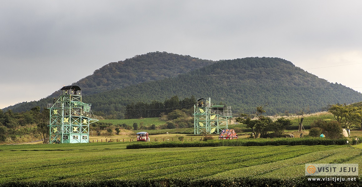 테마_제주액티비티 제주라프짚라인 5
