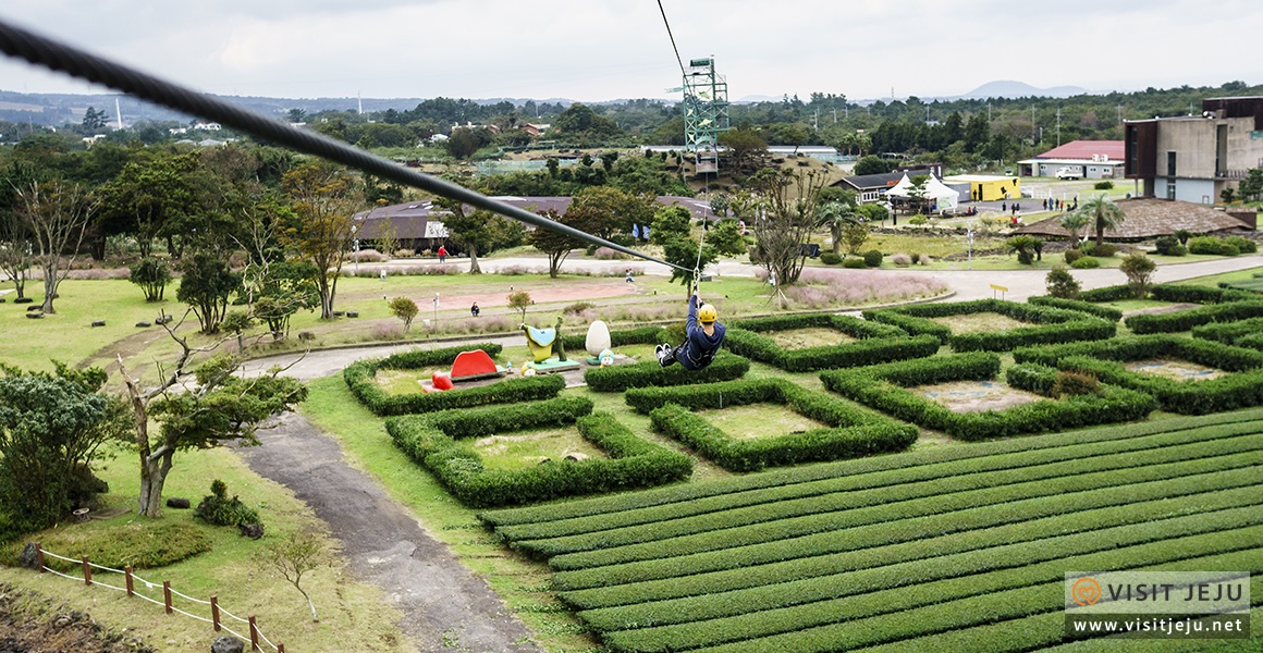 테마_제주액티비티 제주라프짚라인 4