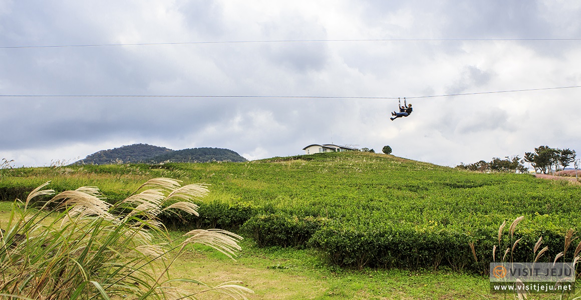 테마_제주액티비티 제주라프짚라인 10