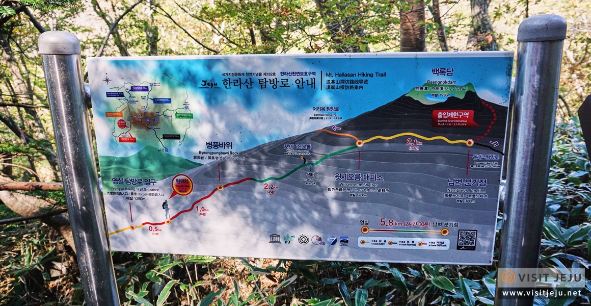 tinerari 3H/2M Yang Singkat & Cukup Lengkap <Keistimewaan Alam Semulajadi & Kebudayaan Jeju>