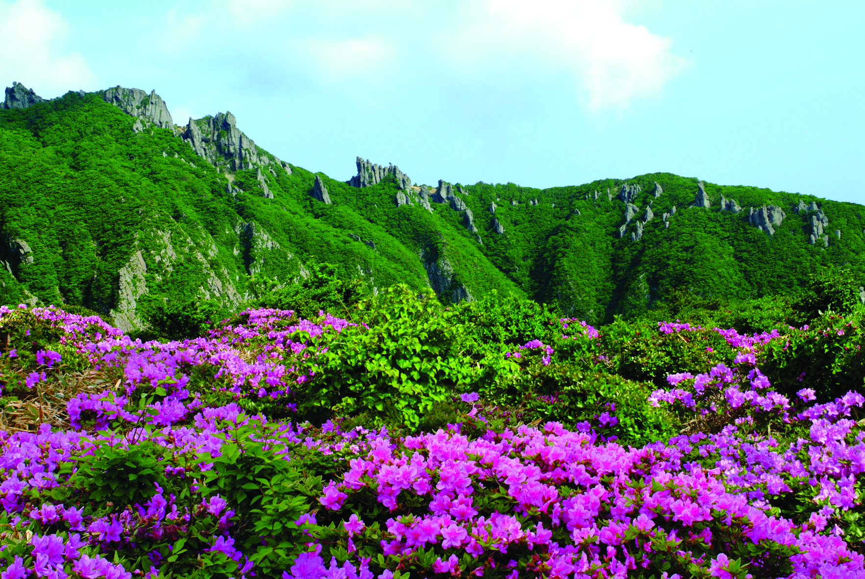 한라산국립공원 이미지 2