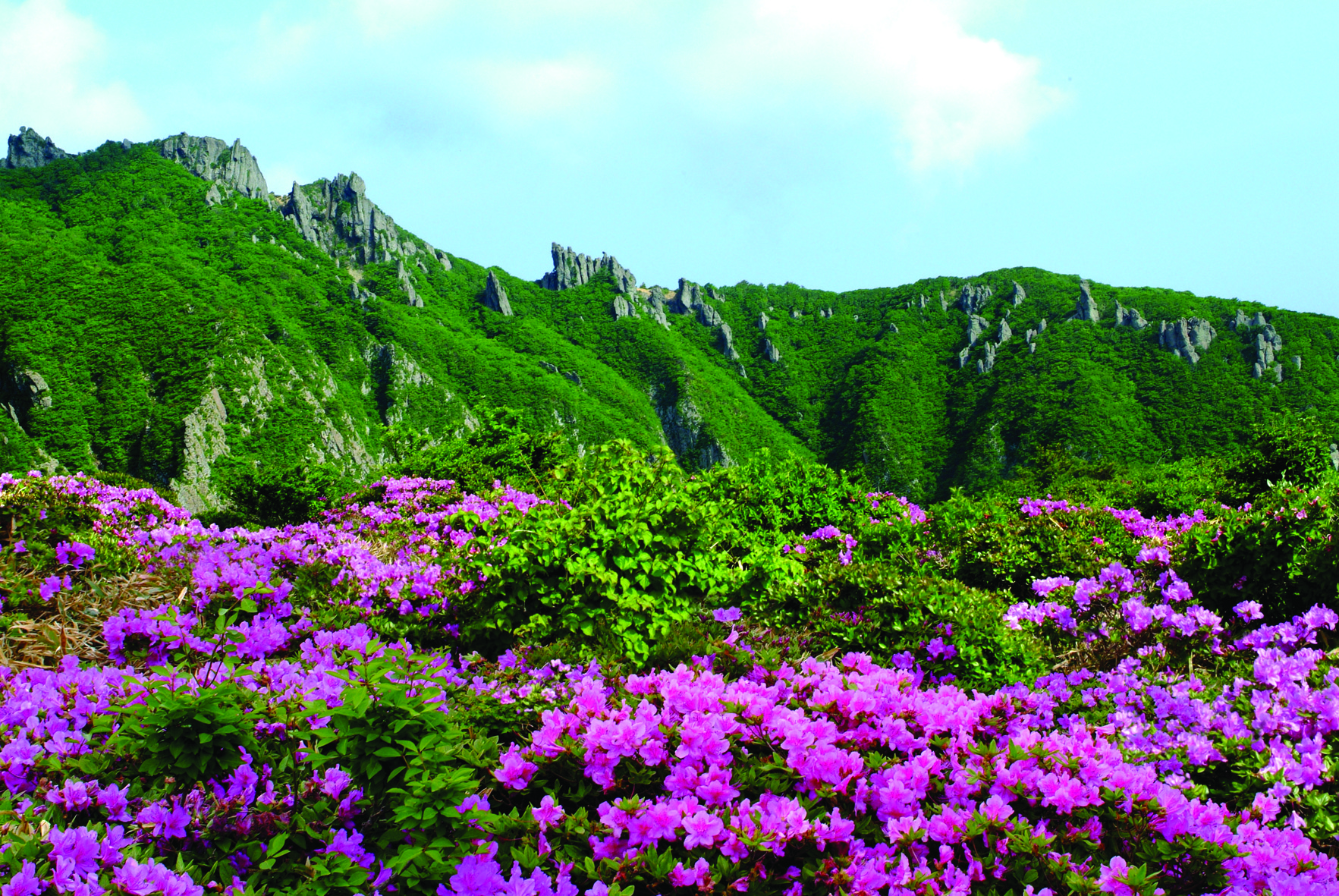 한라산국립공원 사진이미지 2