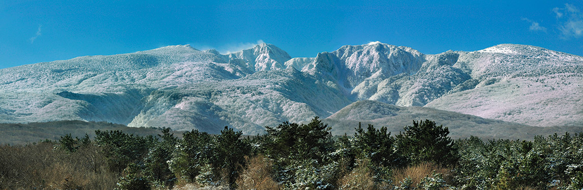 한라산국립공원 사진이미지 6