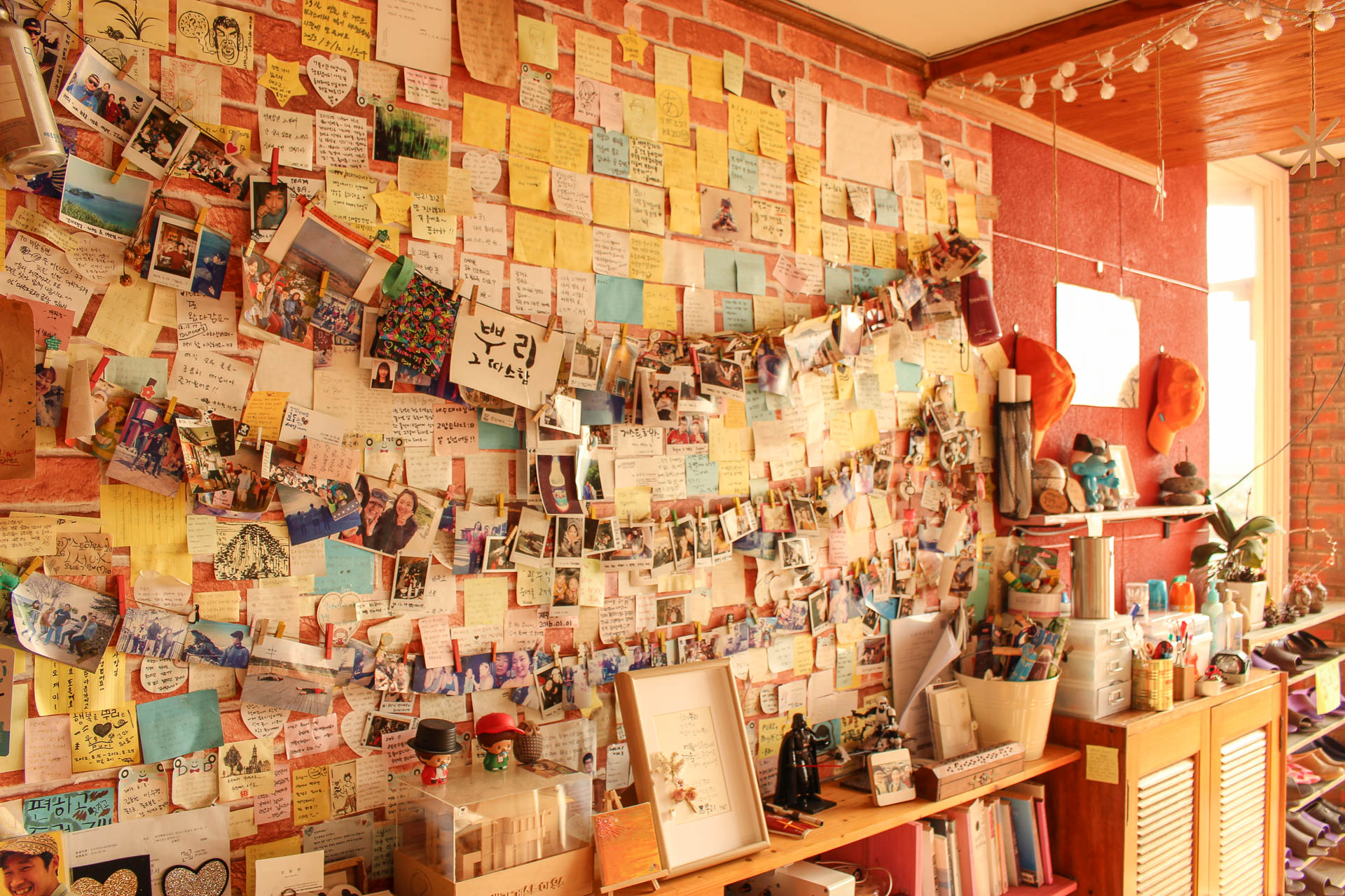 뿌리게스트하우스 2019