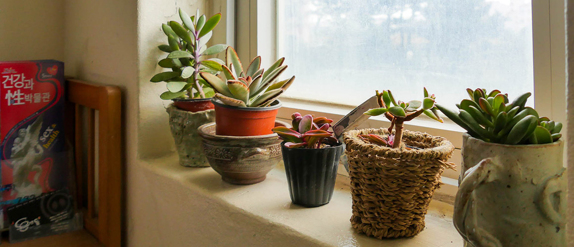 아리스토캣펜션 2019