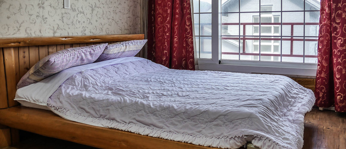 아리스토캣펜션 2019