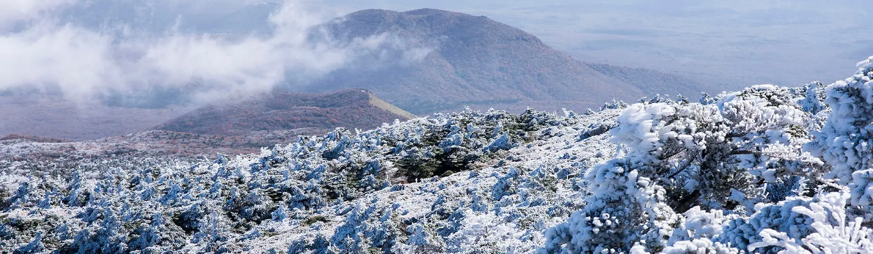 2020년 1월 놓치지 말아야 할 제주 관광 10선 <멋진 새날을 희망하며, 엄블랑한 1월 제주>