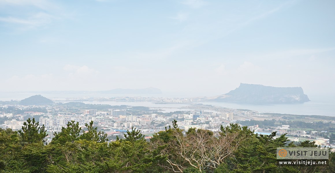 대수산봉