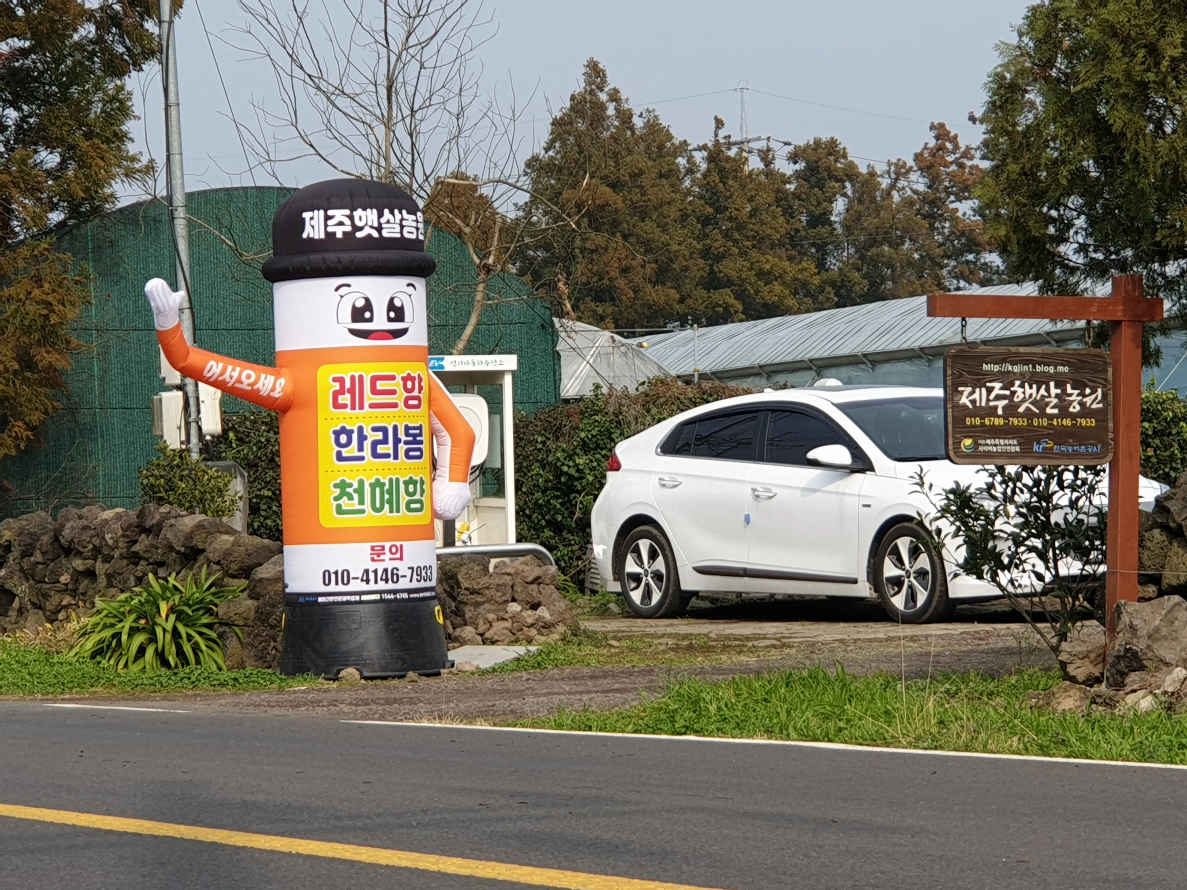 제주햇살농원