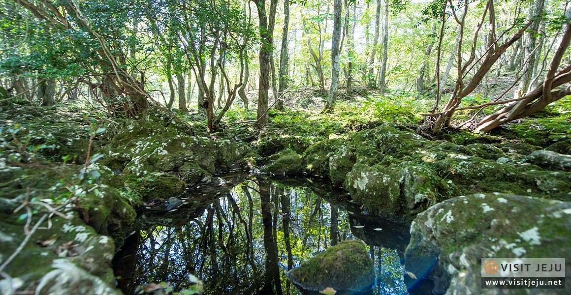Samdasoo Forest Trail