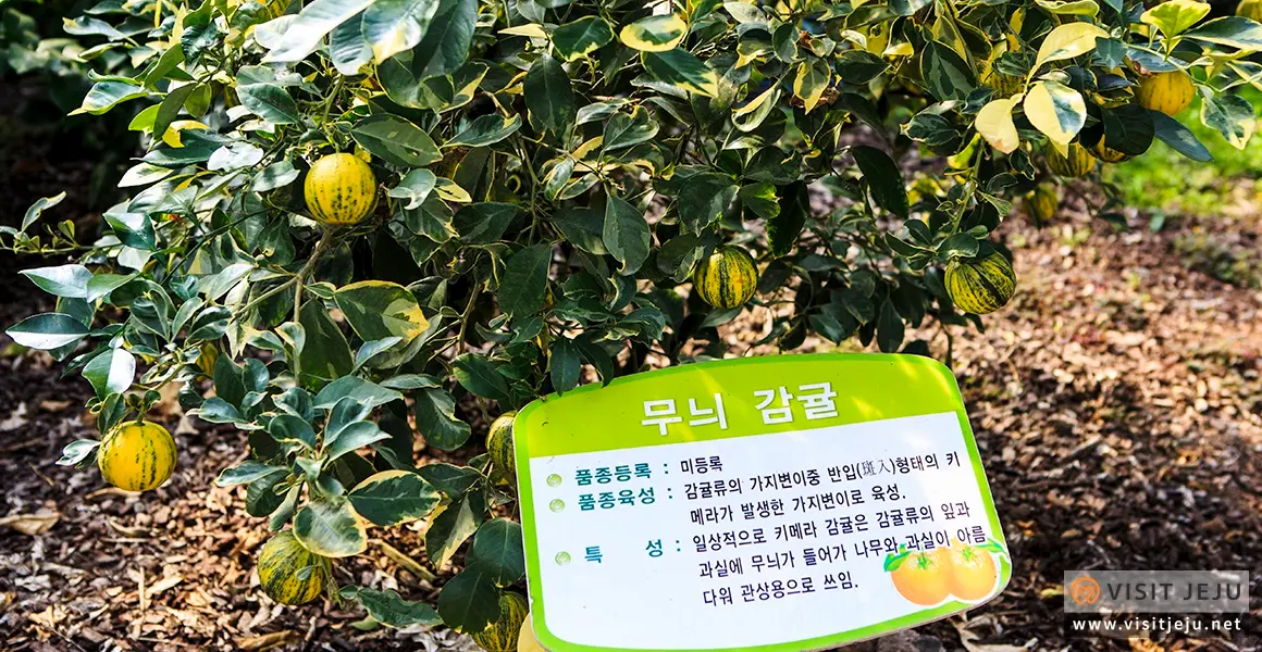 제주농업생태원