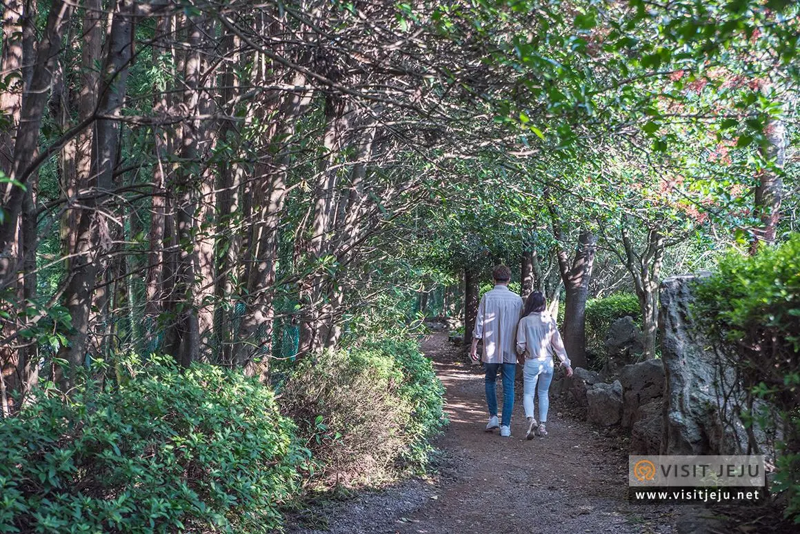 Camellia Hill 森林步道情侶散步真實實景