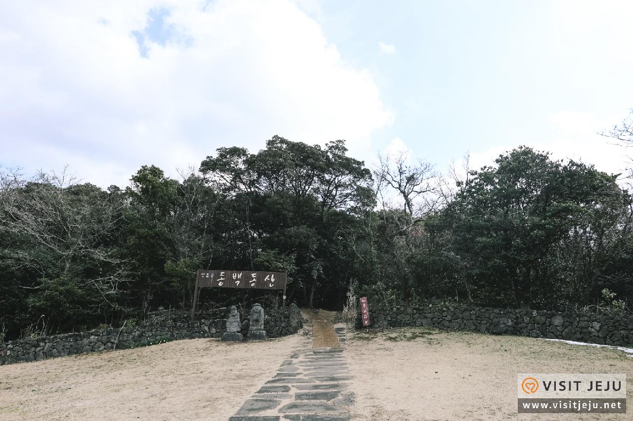 동백동산