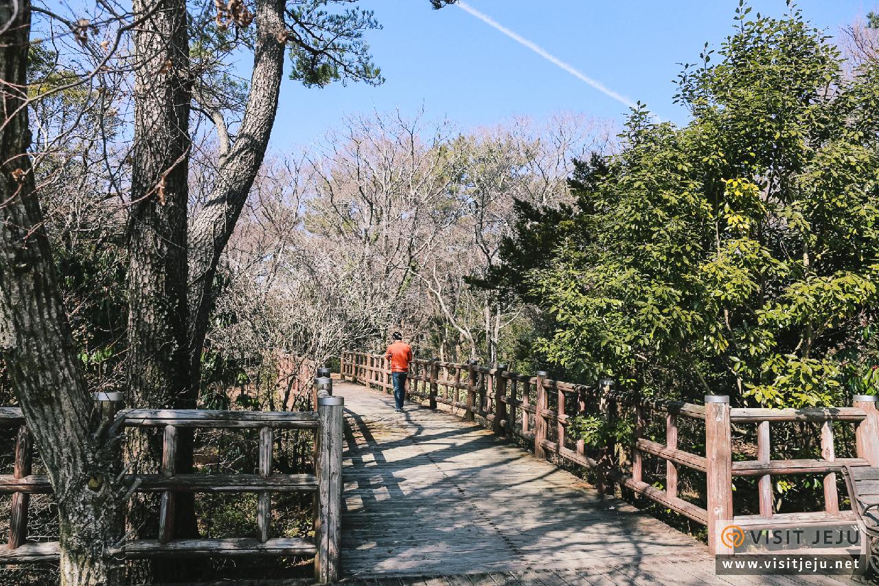 동백길