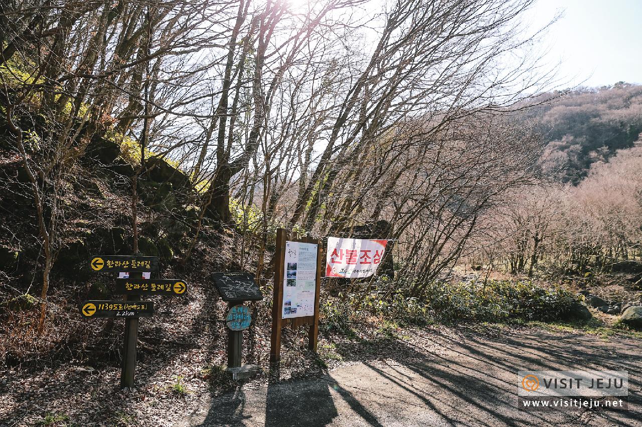 천아숲길