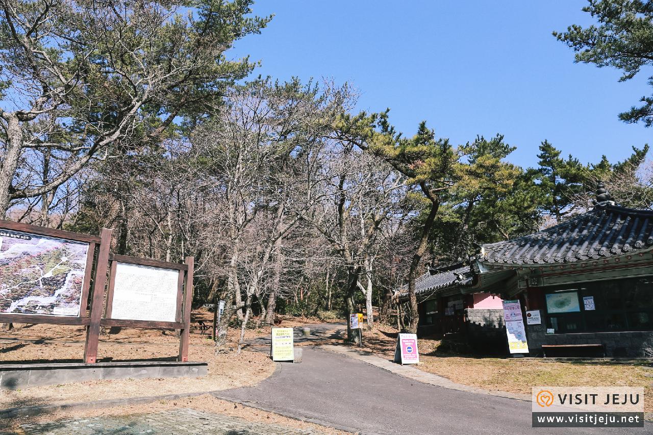 동백길