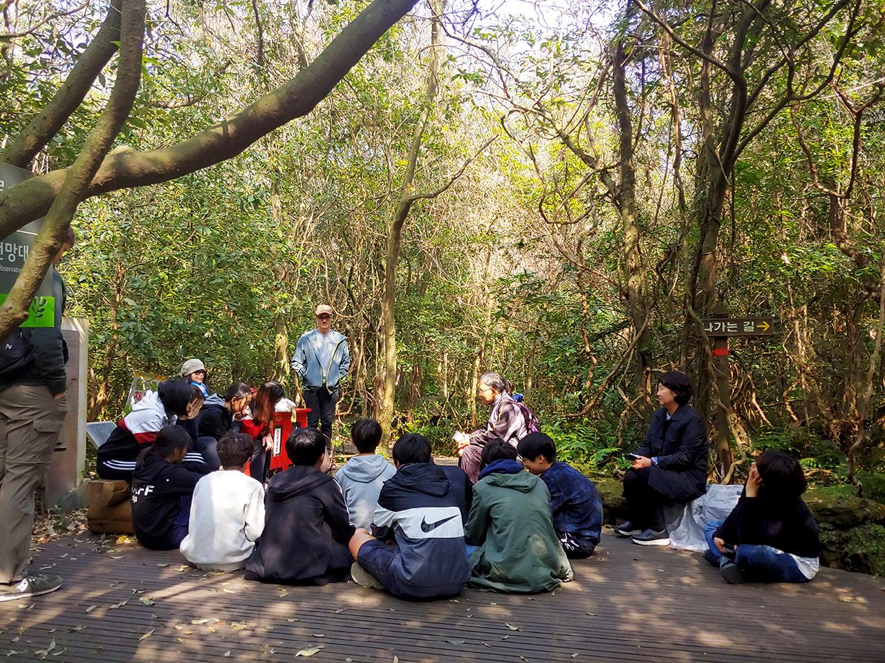 Exploring Gotjawal Forest: The Lungs of Jeju