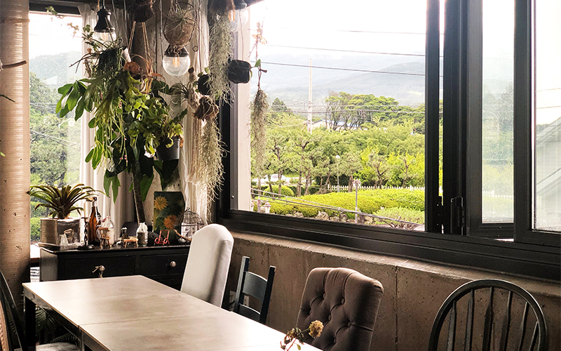 Six Vegetarian Restaurants to Check Out on Your Trip to Jeju