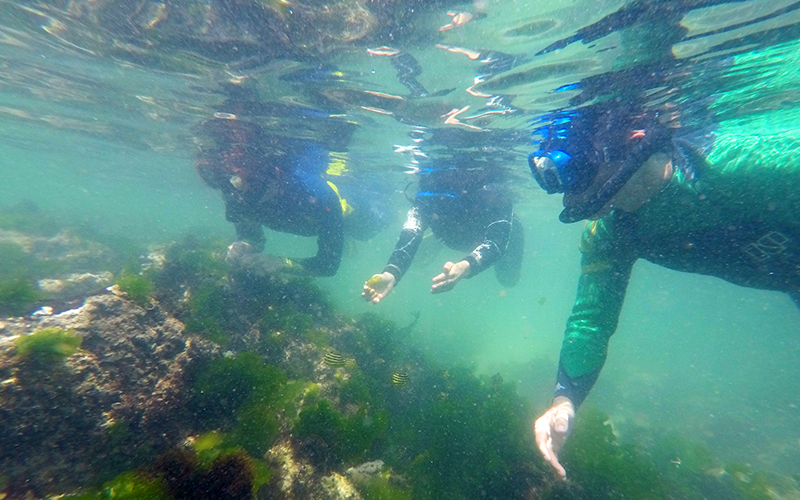 Get Your Adrenaline Pumping with Water Sports on Jeju