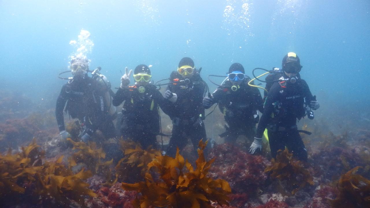 애월스쿠버다이빙스쿨