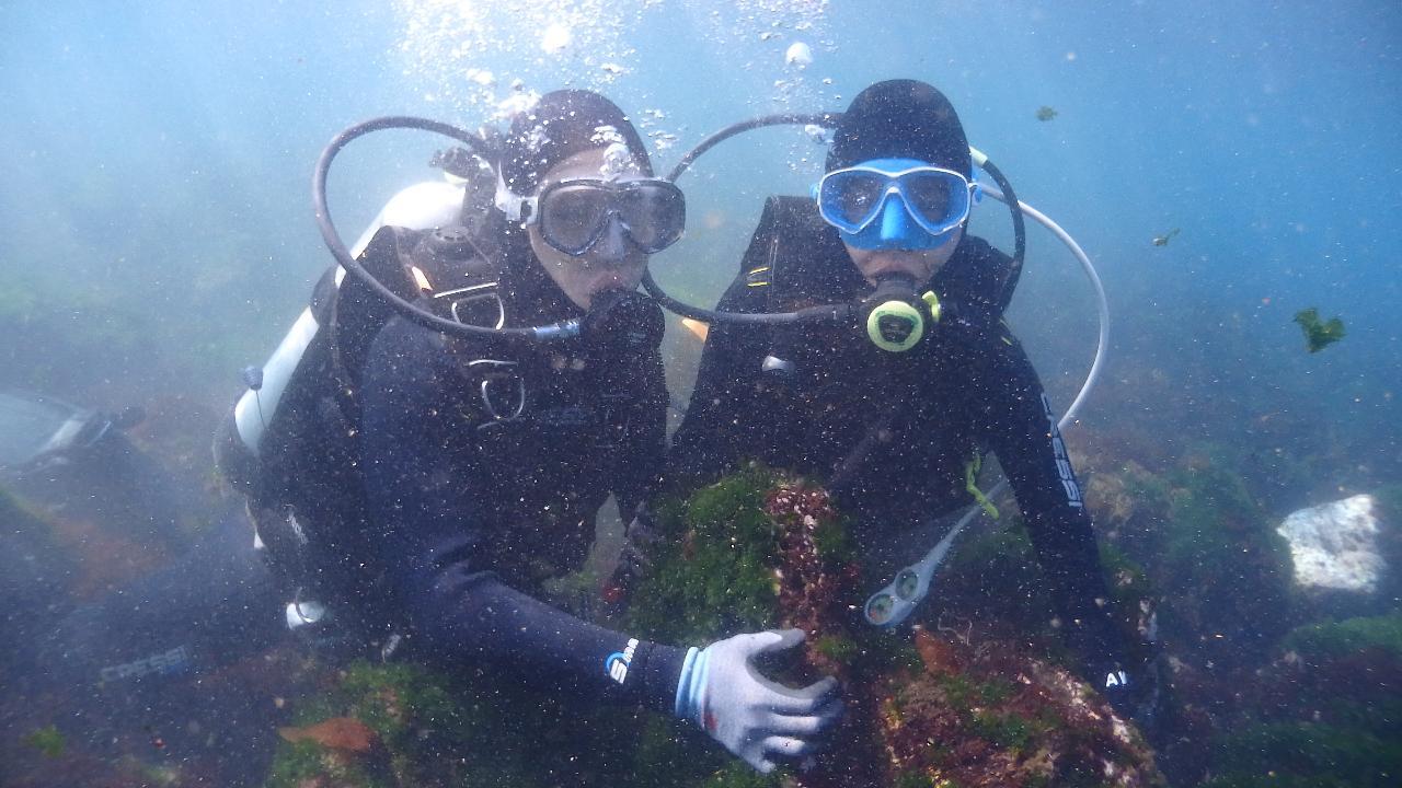 애월스쿠버다이빙스쿨