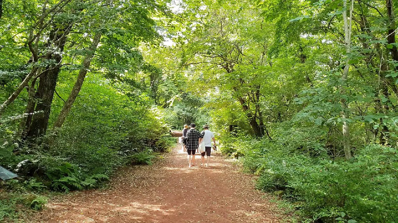 今まで見たことのないチェジュがみたい? <島の息吹、コッチャワル>