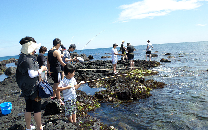 All About Haenyeo: The Mermaids of Jeju Island