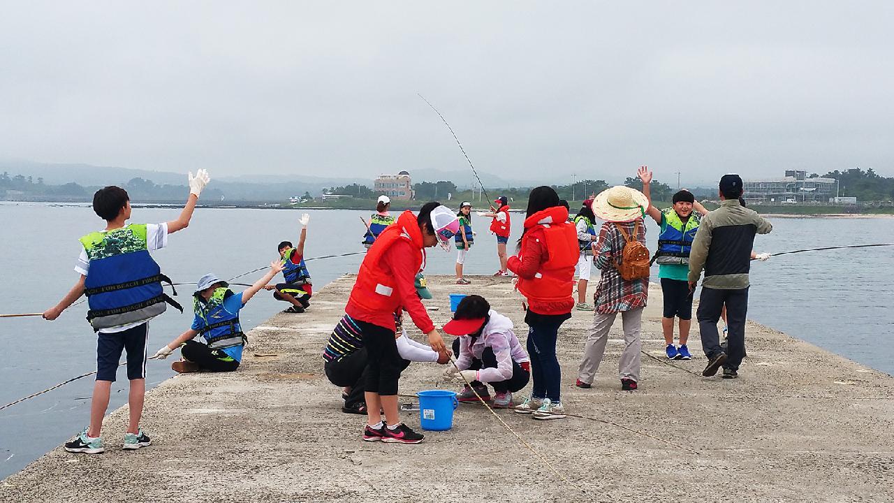 All About Haenyeo: The Mermaids of Jeju Island