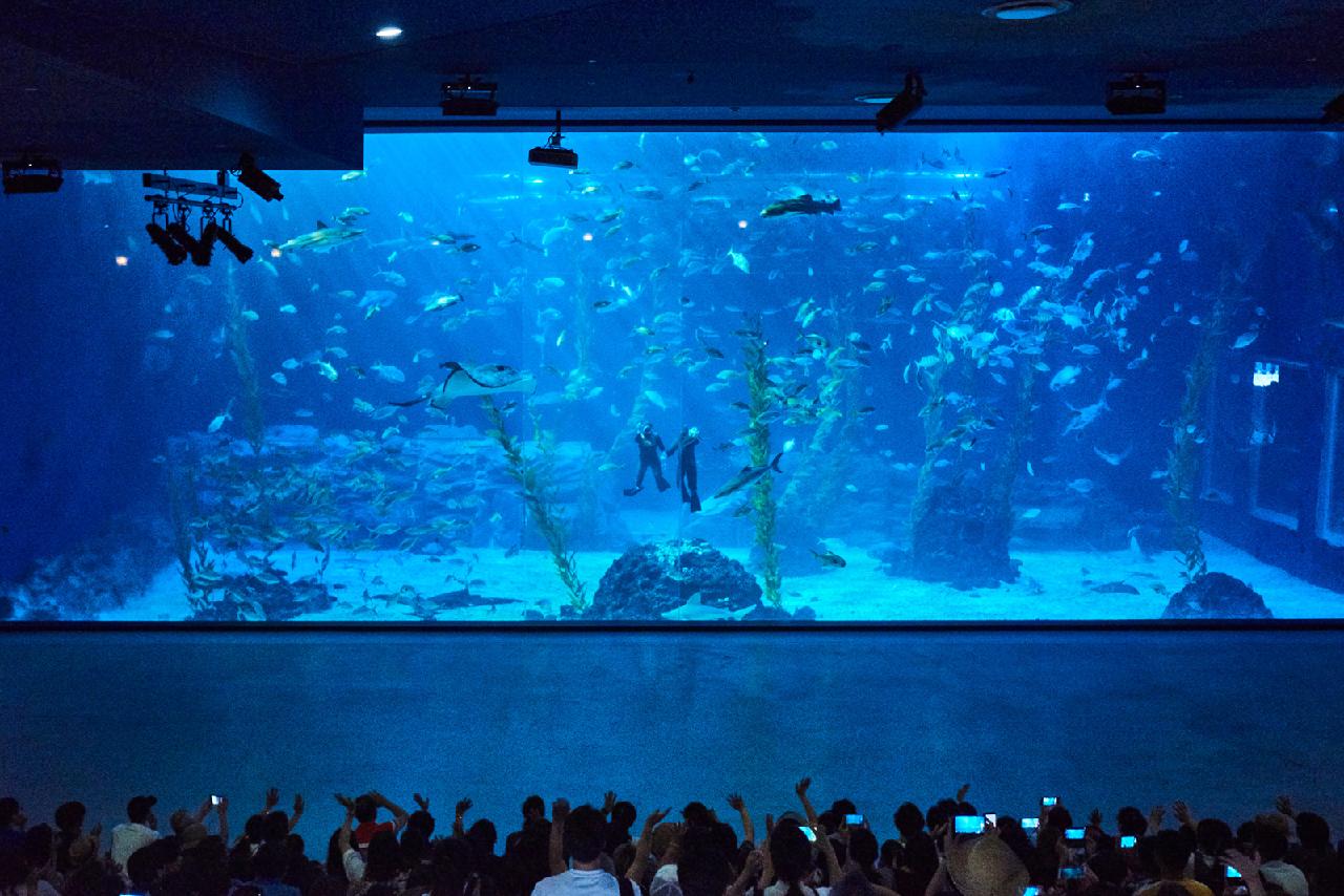 All About Haenyeo: The Mermaids of Jeju Island