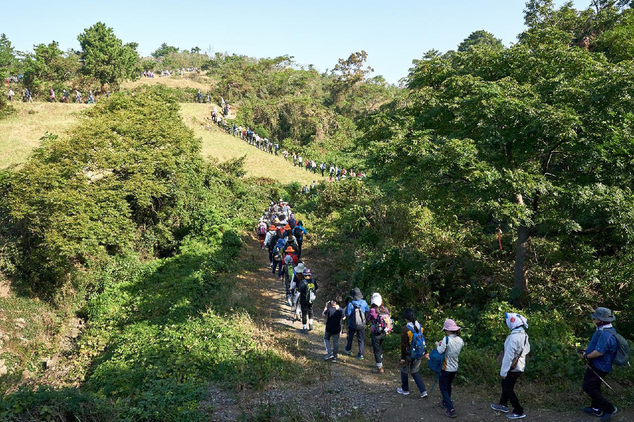 Walking, Food, and Culture on Jeju