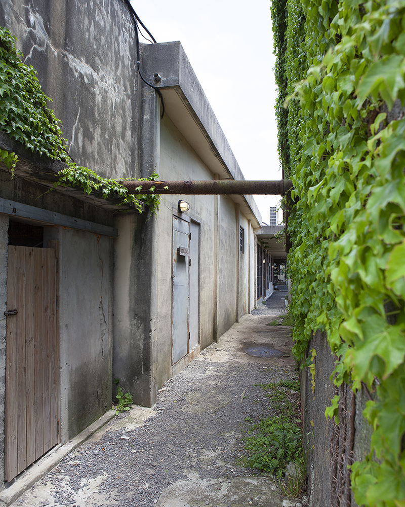 Five Charming Cafes Built in Jeju’s Renovated Buildings