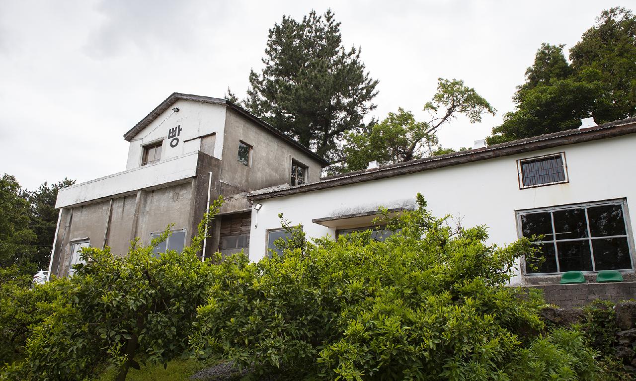 Five Charming Cafes Built in Jeju’s Renovated Buildings