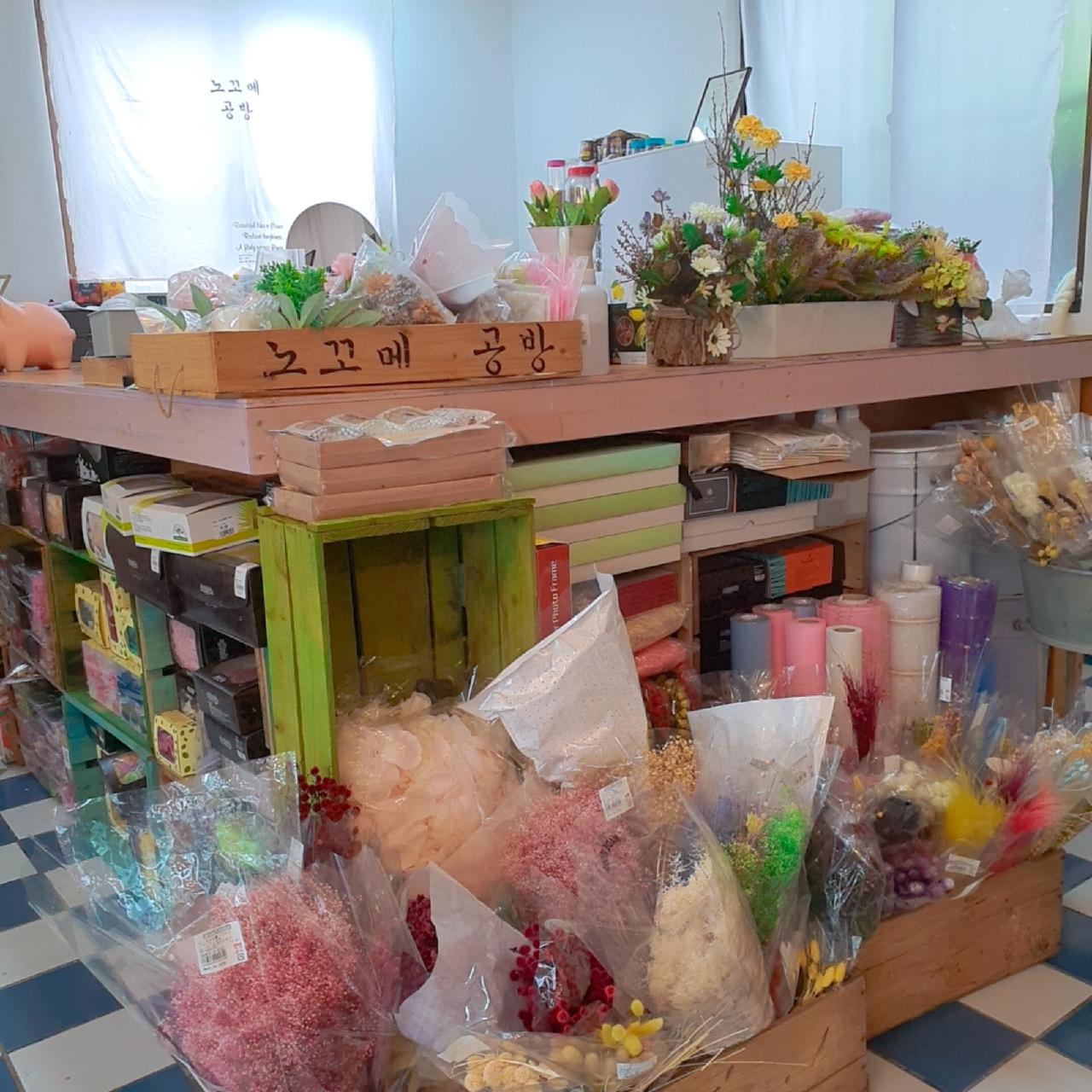 제주도공방노꼬메