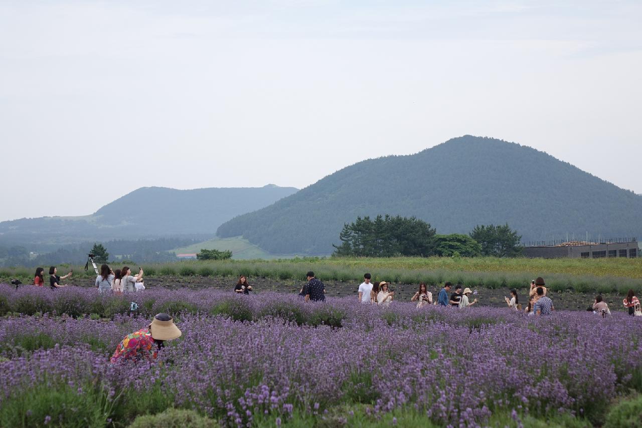 인생샷이 되는 인스타 스팟