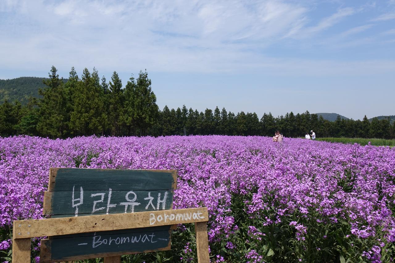 인생샷이 되는 인스타 스팟