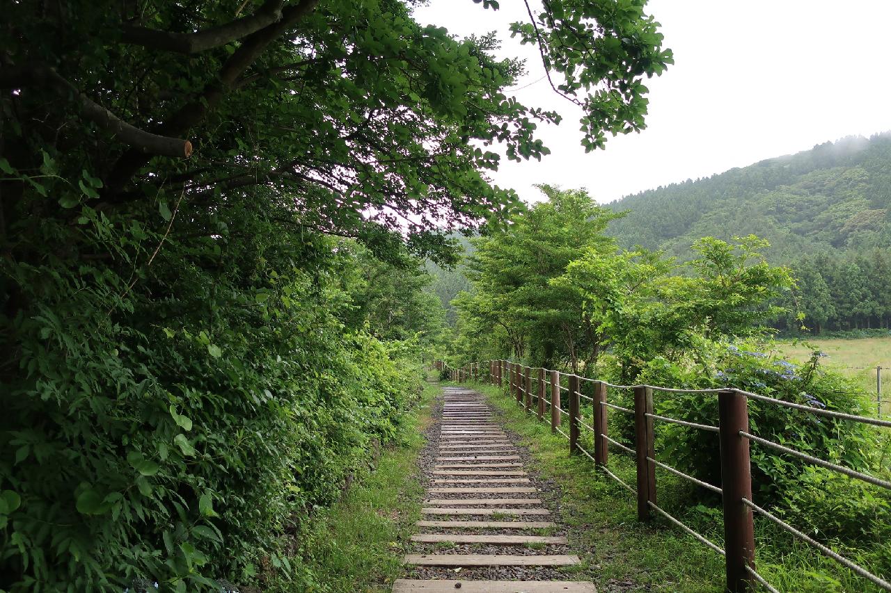 제주의 언택트관광지 10