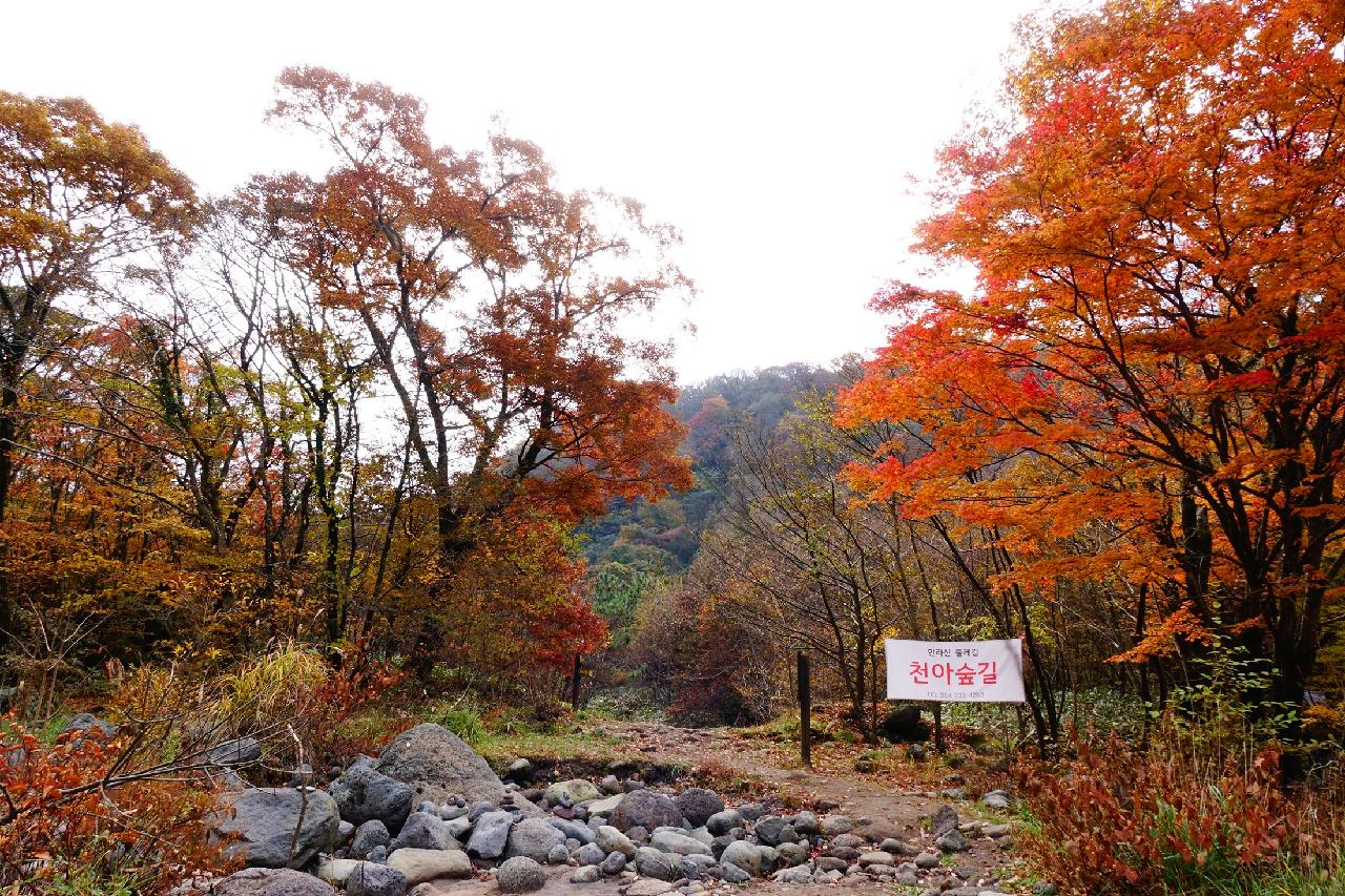 제주의 언택트관광지 10