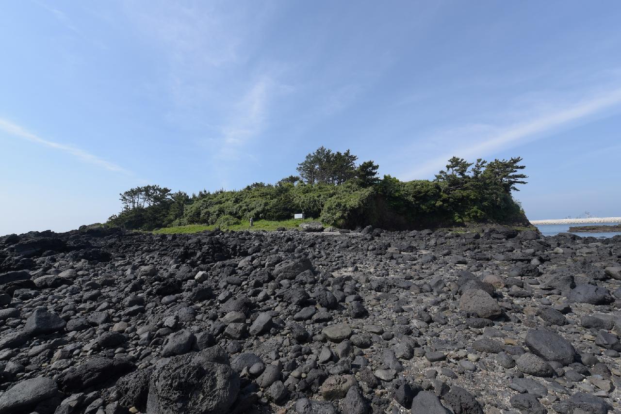 제주의 언택트관광지 10