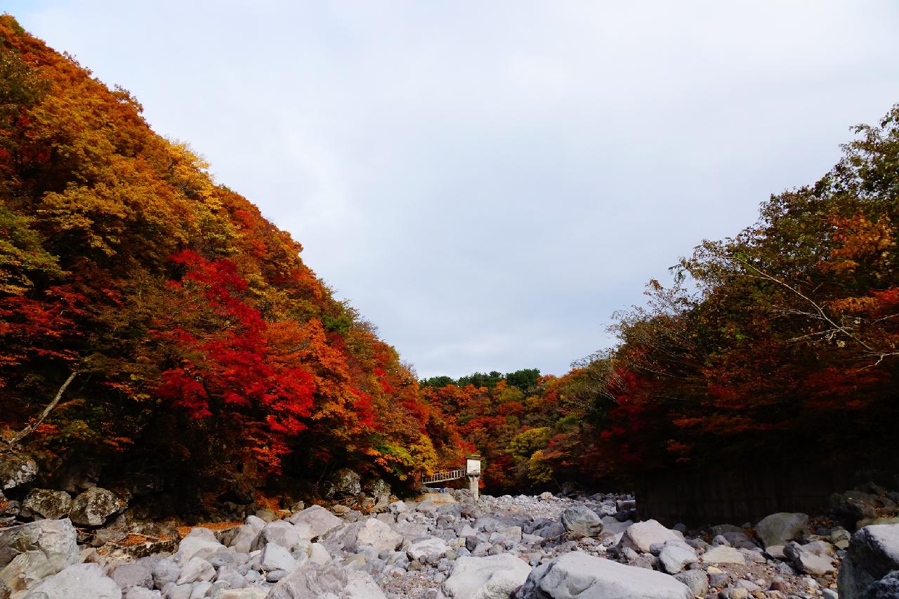 제주의 언택트관광지 10