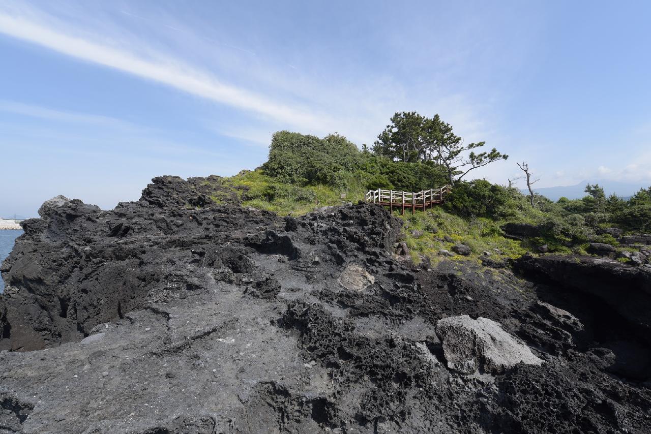 제주의 언택트관광지 10