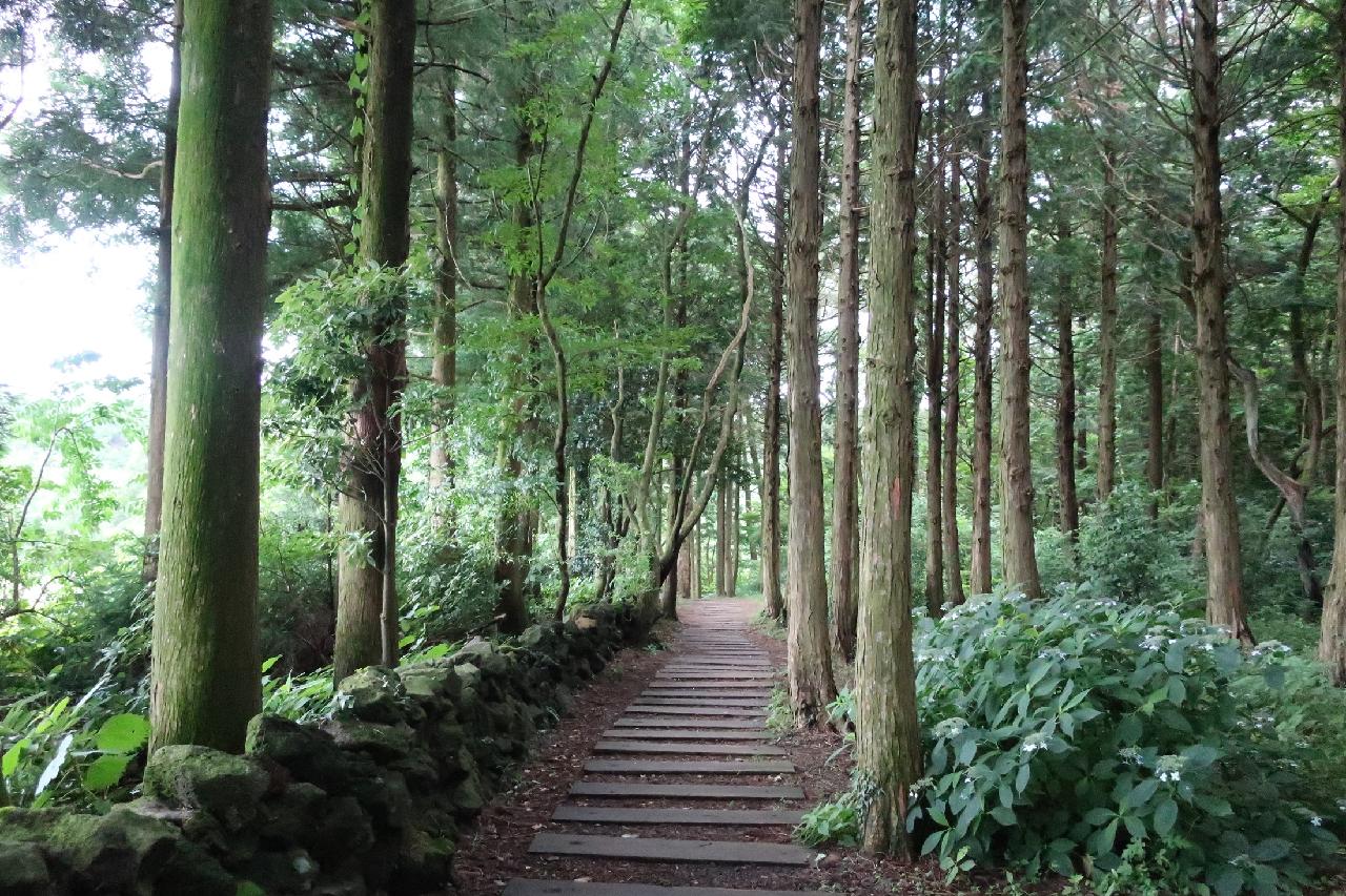 제주의 언택트관광지 10