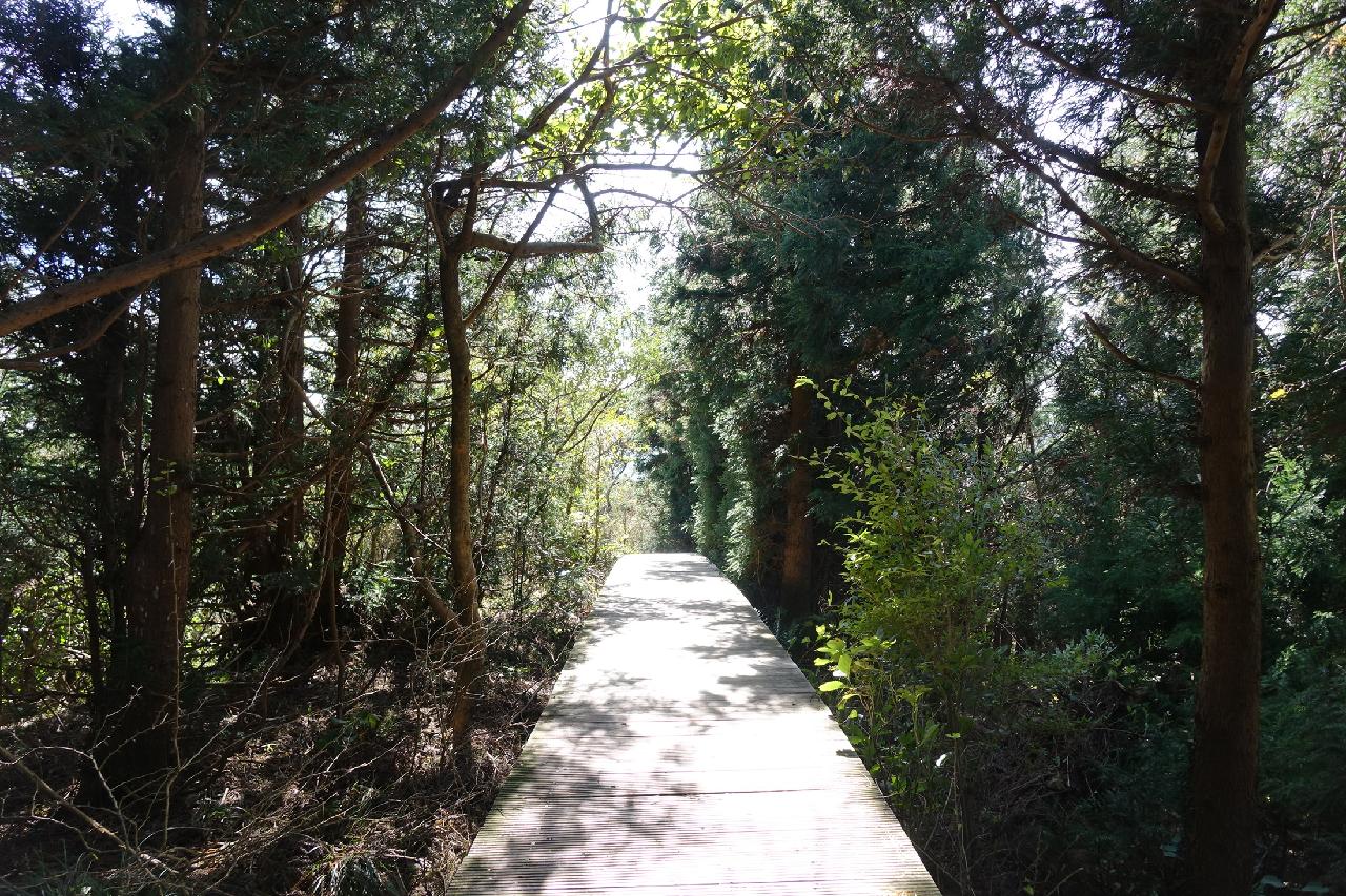 제주의 언택트관광지 10