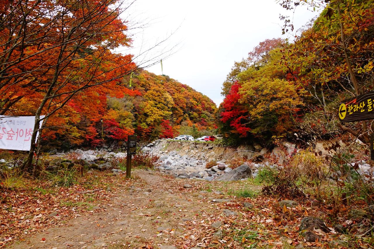 제주의 언택트관광지 10