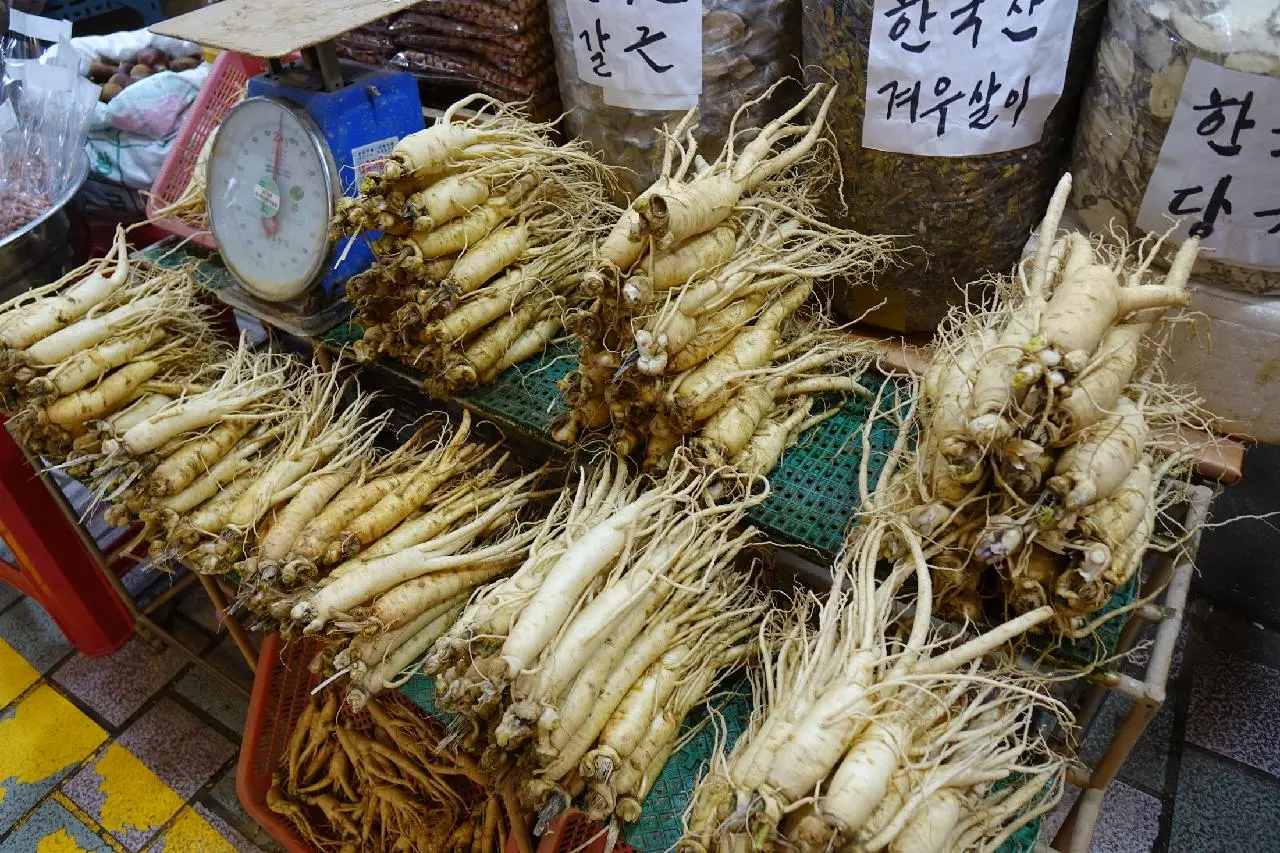 Jeju Dongmun Traditional Market