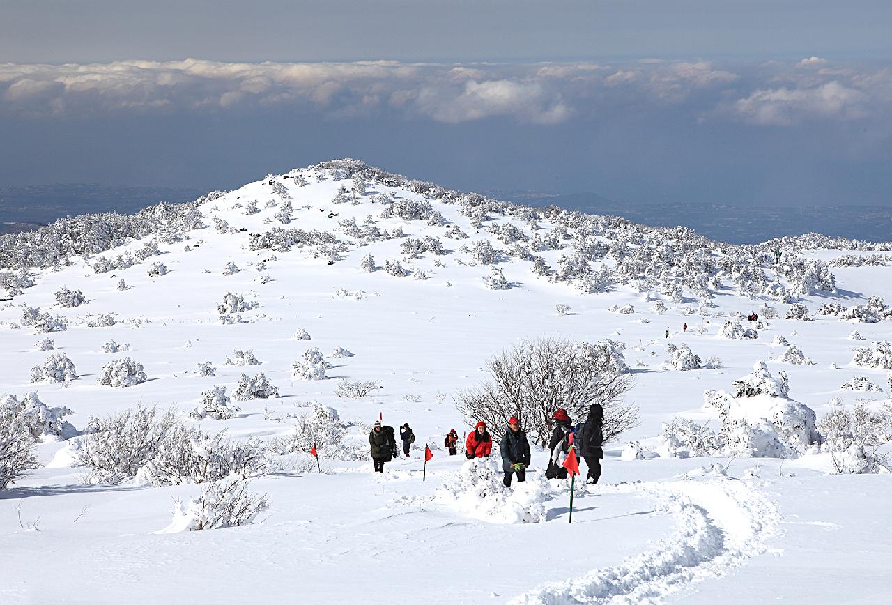 Where to Add Vibrant Color to Your Winter Jeju Trip