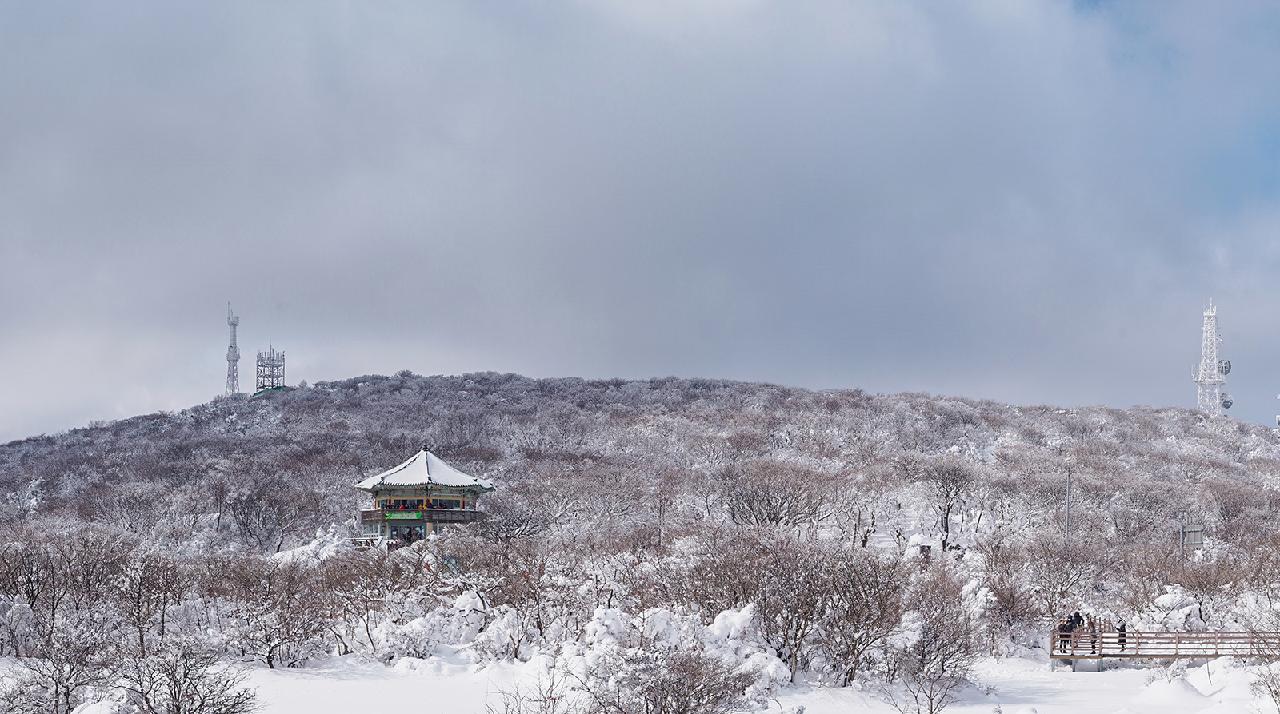 Where to Add Vibrant Color to Your Winter Jeju Trip