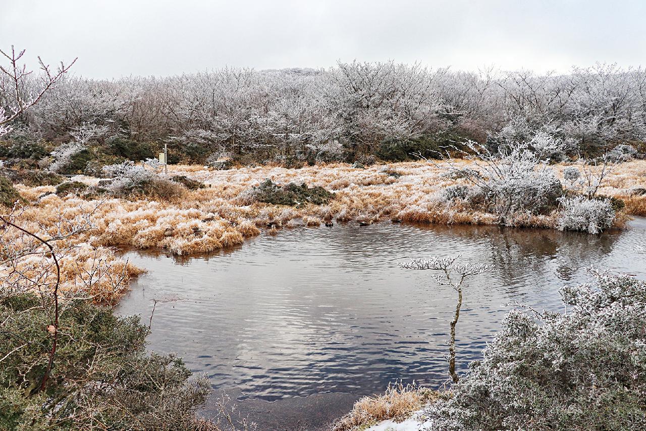 Where to Add Vibrant Color to Your Winter Jeju Trip