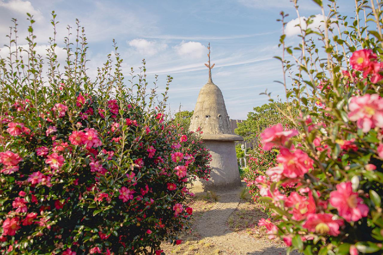 A Splash of Color on a Winter Day: Where to See Camellias on Jeju